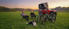 World Cup Traffic? Why E-Bikes Make Sense