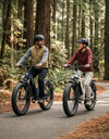 All-Terrain Electric Bikes