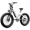 Roma All-Terrain Ebike