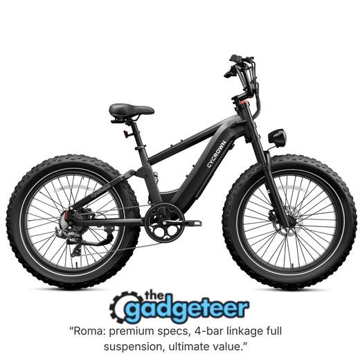 Roma All-Terrain Ebike