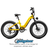 Roma All-Terrain Ebike