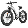 CycVerve All-terrain Ebike