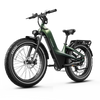 Nomad Pro Fat Tire Ebike
