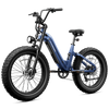Roma All-Terrain Ebike