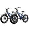 Roma All-Terrain Ebike BOGO