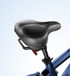 Roma All-Terrain Ebike