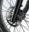 Roma All-Terrain Ebike