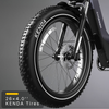 Nomad Pro Fat Tire Ebike