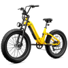 Roma All-Terrain Ebike