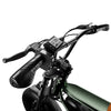 Run Mini Vintage Moped Ebike