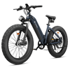 CycVerve All-terrain Ebike