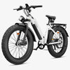 CycVerve All-terrain Ebike