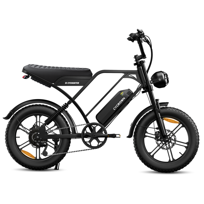 CycHunter 2.0 Moped-Style Ebike