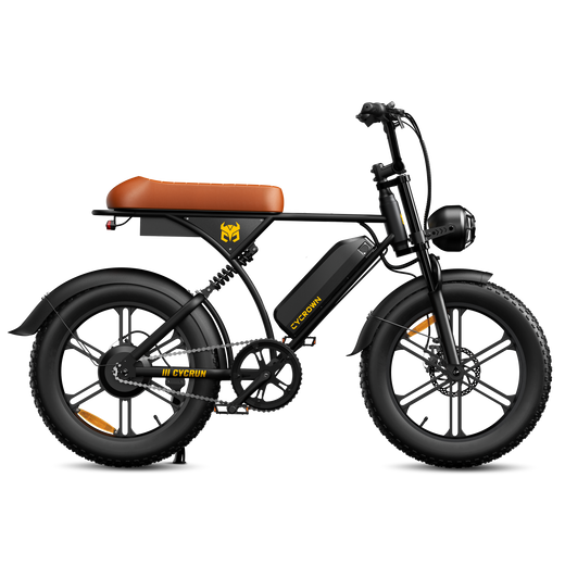 CycRun 2.0 Moped-Style Ebike