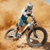 CycVerve All-terrain Ebike