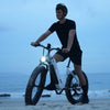 CycVerve All-terrain Ebike